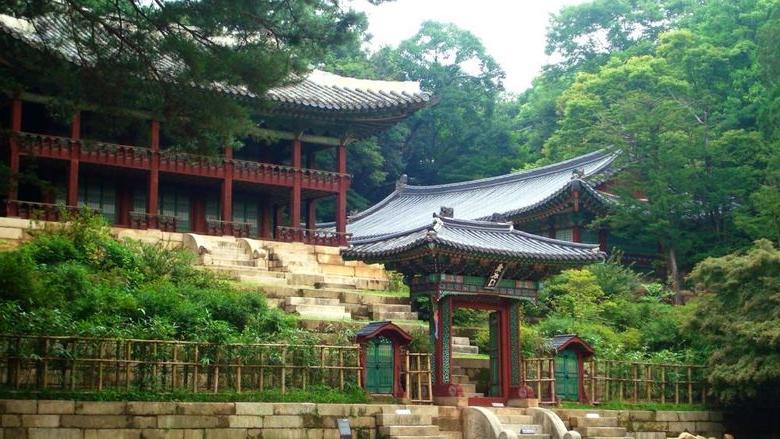 韩国被树木和灌木丛包围的寺庙
